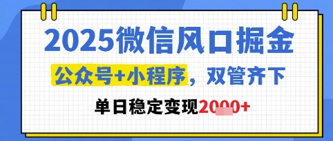 2025微信风口掘金，公众号+小程序双管齐下，单日稳定变现1k+【揭秘】-润泽资源库
