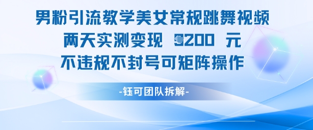 男粉引流教学美女常规跳舞视频两天实测变现1k+，不违规不封号可矩阵操作-润泽资源库