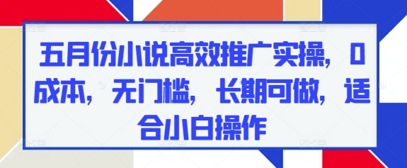 五月份小说高效推广实操，0成本，无门槛，长期可做，适合小白操作-润泽资源库
