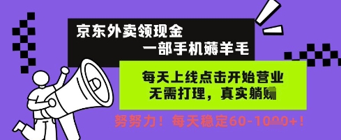 京东外卖领现金，一部手机薅羊毛，每天上线动动手指，无需打理，每天保底60+，每天就是如此轻松【揭秘】-润泽资源库