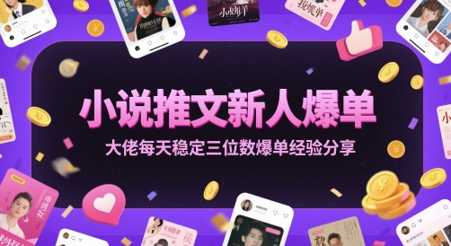小说推文新人爆单大佬每天稳定三位数爆单经验分享-润泽资源库