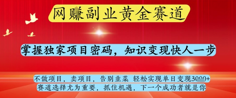 网创副业黄全赛道，掌握独家项目密码，知识变现快人一步，告别韭菜轻松实现单日变现1k+【揭秘】-润泽资源库