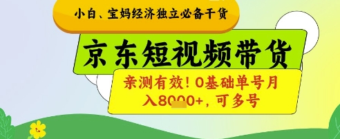 小白宝妈经济独立必备干货，京东短视频带货，亲测有效!0基础单号月入8k+，可多号【揭秘】-润泽资源库