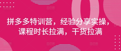 拼多多特训营，经验分享实操，课程时长拉满，干货拉满(更新25年4月)-润泽资源库