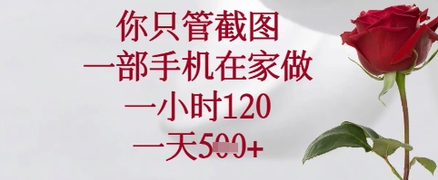 你只管截图，一部手机在家可以做，一小时120.一天5张+【揭秘】-润泽资源库
