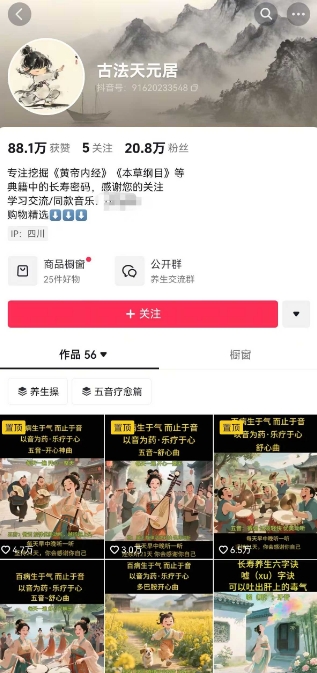 古法五音养生教程，五音疗愈的视频的制作方法，2-4小时就能学会，作者10天涨粉10W-润泽资源库