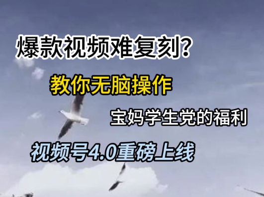 视频号4.0重磅上线，爆款视频难复刻？教你无脑操作宝妈学生党的福利【揭秘】-润泽资源库