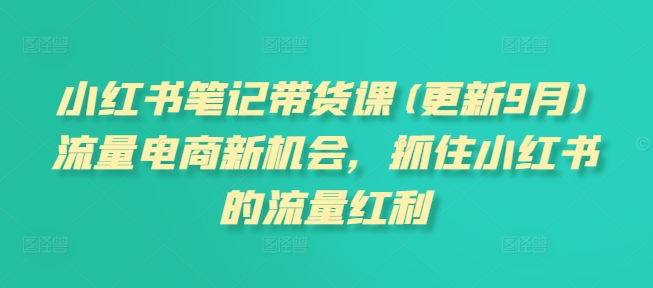 小红书笔记带货课(更新25年5月)流量电商新机会，抓住小红书的流量红利-润泽资源库