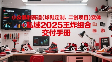 小众暴利赛道(球鞋定制，二创项目)实体+私域2025王炸组合  交付手册-润泽资源库