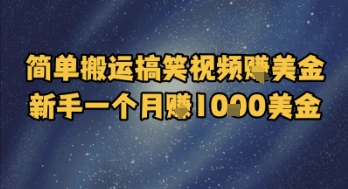 简单搬运搞笑视频挣美金，新手一个月入1k美金-润泽资源库
