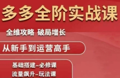 拼多多全阶实战课程，全维攻略，破局增长，从新手到运营高手-润泽资源库