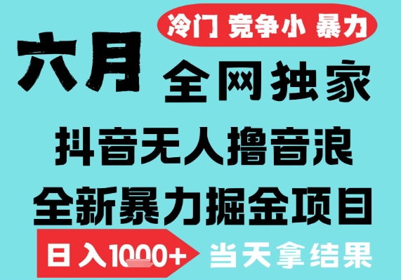 2025年6月高爆抖音无人直播最新撸音浪掘金项目，无脑日入1k+，低门槛小白可做，可矩阵放大【揭秘】-润泽资源库