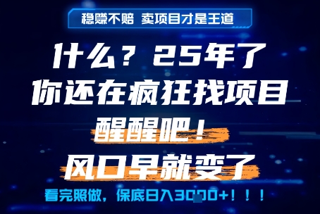 什么？25年你还在疯狂找项目做，醒醒吧，看完这些你全都懂了！【揭秘】-润泽资源库