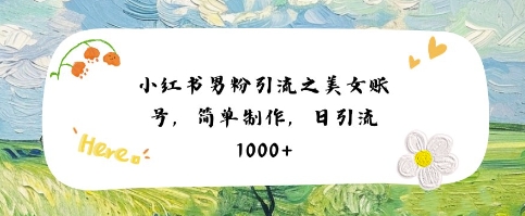 小红书男粉引流项目之美女账号6，简单制作，条条爆款原创，不违规-润泽资源库