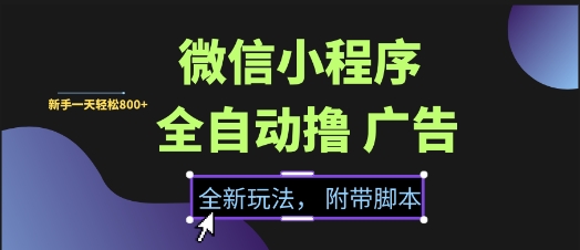 微信小程序全自动撸广告项目，彻底解决没流量的问题，新手一天8张+【揭秘】-润泽资源库