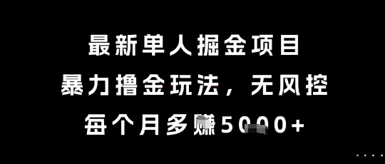 最新单人掘金项目，暴力撸金玩法，无风控，每个月多挣5k+【揭秘】-润泽资源库