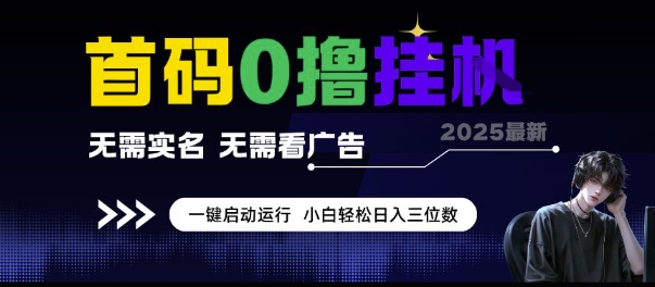 首码0撸挂G项目，无需实名无需看广告 一键启动运行，小白轻松日入三位数【揭秘】-润泽资源库