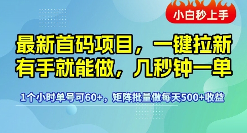 最新首码项目，一键拉新有手就能做，几秒钟一单，1个小时单号可60+，矩阵批量做每天5张【揭秘】-润泽资源库