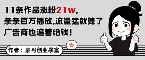 11条作品涨粉21W，条条百W播放，流量猛就算了，广告商也追着给钱-润泽资源库