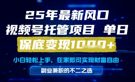 25年最新风口，视频号托管项目，单日保底变现1k+，手把手教学【揭秘】-润泽资源库