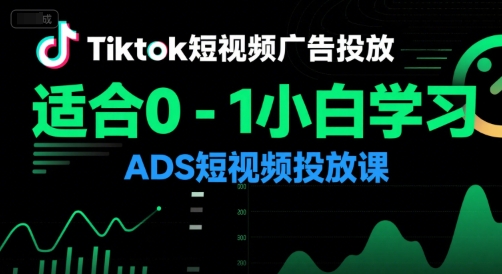 Tiktok短视频广告投放，适合0-1小白学习ADS短视频投放课-润泽资源库