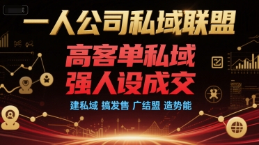 一人公司私域联盟，高客单私域，强人设成交，建私域 搞发售 广结盟 造势能-润泽资源库