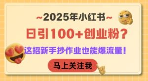 2025年小红书日引100+创业粉?这招新手抄作业也能爆流量!-润泽资源库