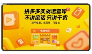 拼多多实战运营课,不讲废话只讲干货,简单粗暴,能落地,可复制-润泽资源库