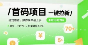 首码一键拉新项目，稳定靠谱，操作简单易上手，单号一小时70+，批量做每天5张【揭秘】-润泽资源库
