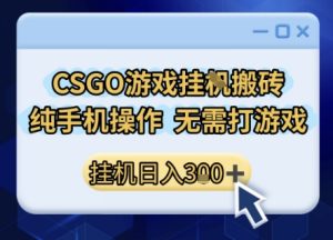 CSGO游戏挂G搬砖，小白纯手机即可操作，不用电脑打游戏，日入3张+，副业网创项目【揭秘】-润泽资源库