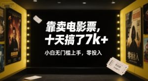 靠卖电影票,十天搞了7k+,小白无门槛上手,零投入【揭秘】-润泽资源库