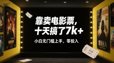 靠卖电影票，十天搞了7k+，小白无门槛上手，零投入【揭秘】-润泽资源库