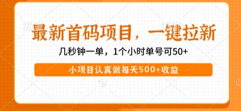 最新首码项目，操作最简单，收益高，一键拉新，1个小时单号可50+，小项目认真做每天5张+收益【揭秘】-润泽资源库