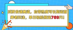 减肥食谱赛道，自带热度可长期运营，养老玩法，单日轻松搞定769-润泽资源库