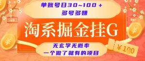 淘系掘金挂G项目,单账号日收益30~100+,多号多得,一个做了就有的项目【揭秘】-润泽资源库