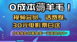 0成本薅羊毛!视频会员、话费卷、30元电影票白送，分享我如何靠转卖一天变现5张+【揭秘】-润泽资源库