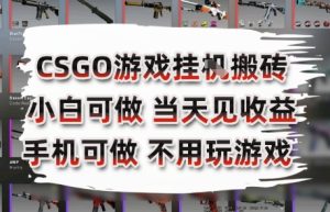 CSGO游戏挂G搬砖，小白纯手机即可操作，不用电脑打游戏，日入3张+，副业网创项目【揭秘】-润泽资源库