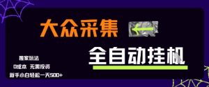 大众采集全自动玩法,新手小白轻松一天5张+,操作简单零成本【揭秘】-润泽资源库