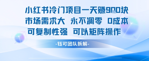 小红书冷门项目一天收益9张，市场需求大，0成本，可复制性强可以矩阵操作-润泽资源库
