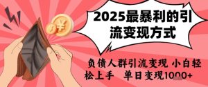 2025年最暴利的引流变现方式，负债人群引流变现，小白轻松上手，日入1k-润泽资源库