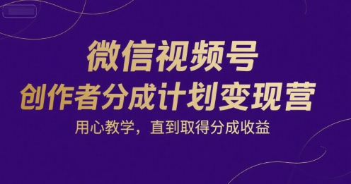 微信视频号创作者分成计划变现营，用心教学，直到取得分成收益-润泽资源库