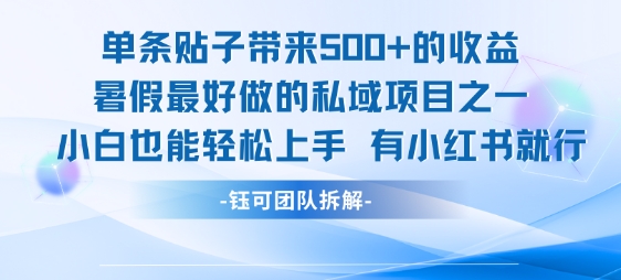 单条贴子带来5张的收益，暑假最好做的私域项目之一，小白也能轻松上手，有小红书就行-润泽资源库