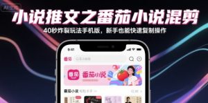 小说推文之番茄小说混剪40秒炸裂玩法手机版，新手也能快速复制操作-润泽资源库
