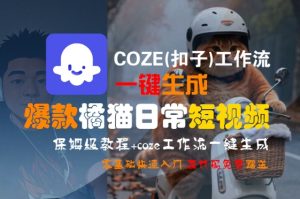 COZE(扣子)工作流一键生成爆款橘猫日常短视频,保姆级教程,零基础快速入门-润泽资源库