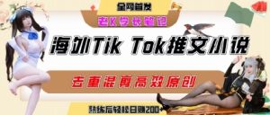 海外tiktok小说推文暴力项目,高停留率,高转化率,上手后一天搞顿饭钱不是问题-润泽资源库