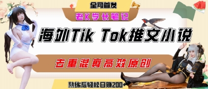 海外tiktok小说推文暴力项目，高停留率，高转化率，上手后一天搞顿饭钱不是问题-润泽资源库