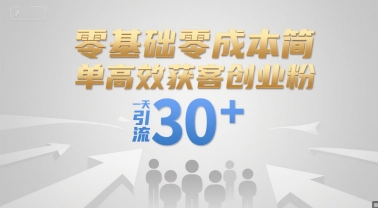 零基础零成本简单高效获客创业粉，一天引流30+-润泽资源库