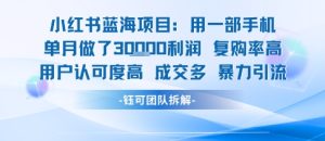 小红书蓝海项目，一部手机单月做了3W利润，小白也能月入过1W用户认可度高成交多-润泽资源库