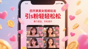 四开屏美女视频玩法，引s粉轻轻松松，暴力掘金，手机操作【揭秘】-润泽资源库