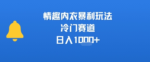 情趣内衣暴利玩法，冷门赛道，日入1k+-润泽资源库